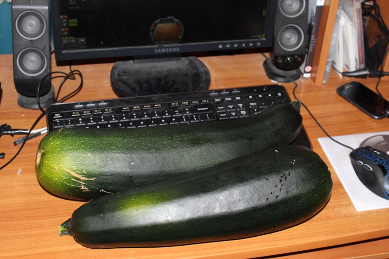 courgette3.JPG